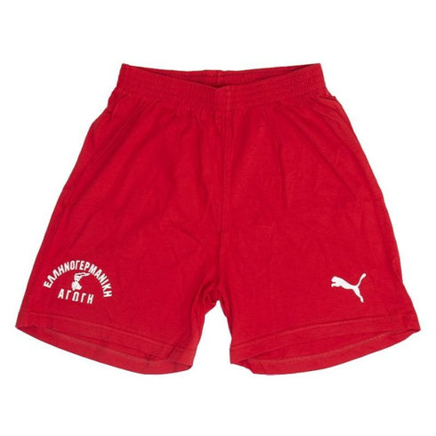 Puma Sport Shorts