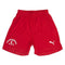 Puma Sport Shorts