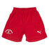 Puma Sport Shorts