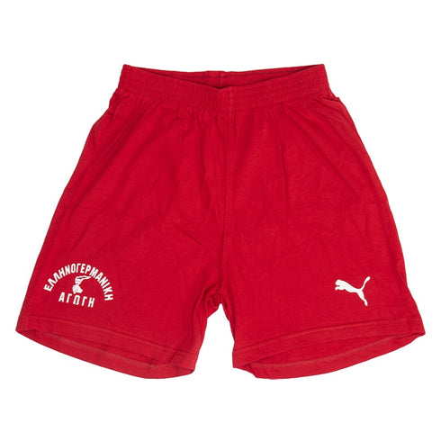 Puma Sport Shorts