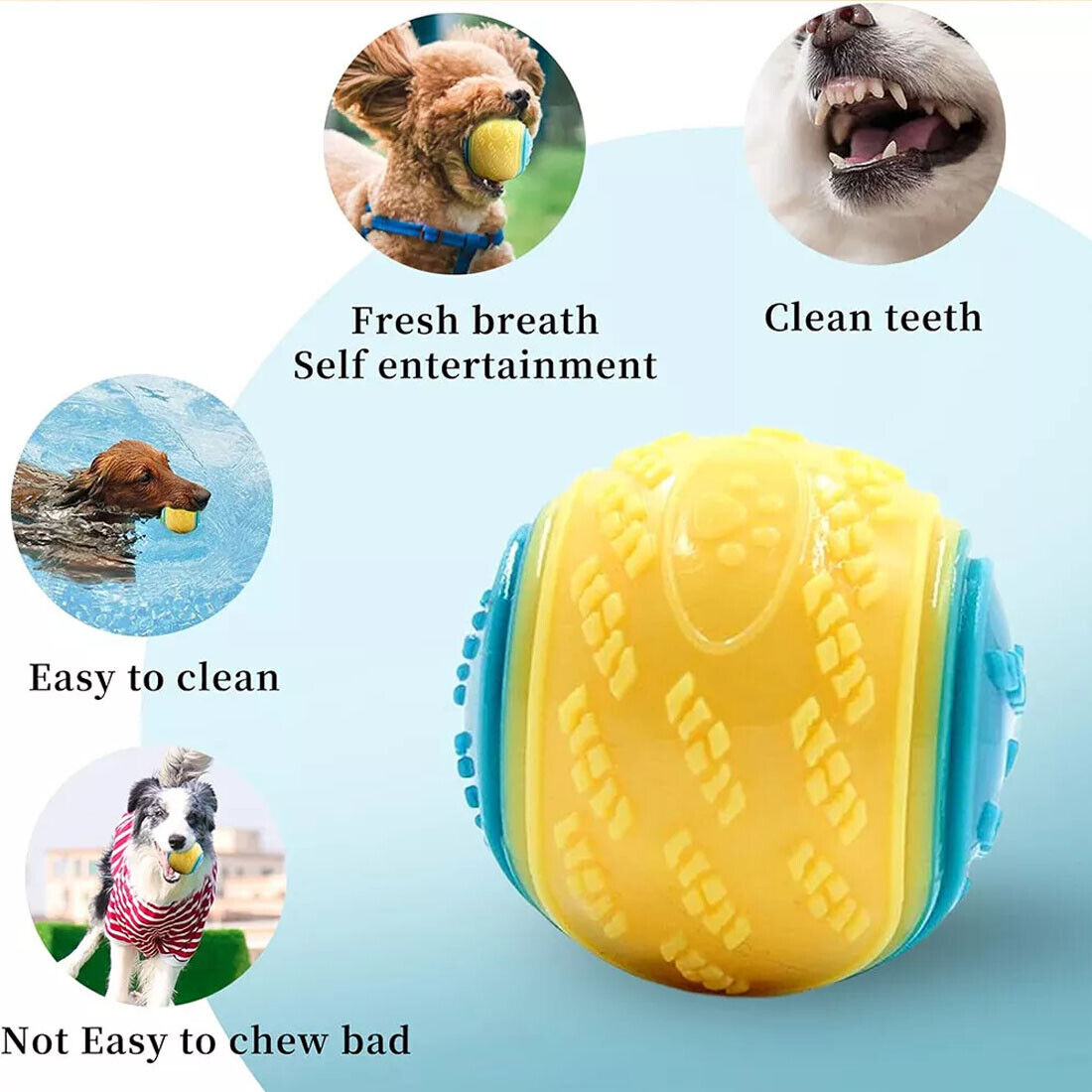 Scooby-Doo Durable Squeaky Dog Ball Set (8 Pack)