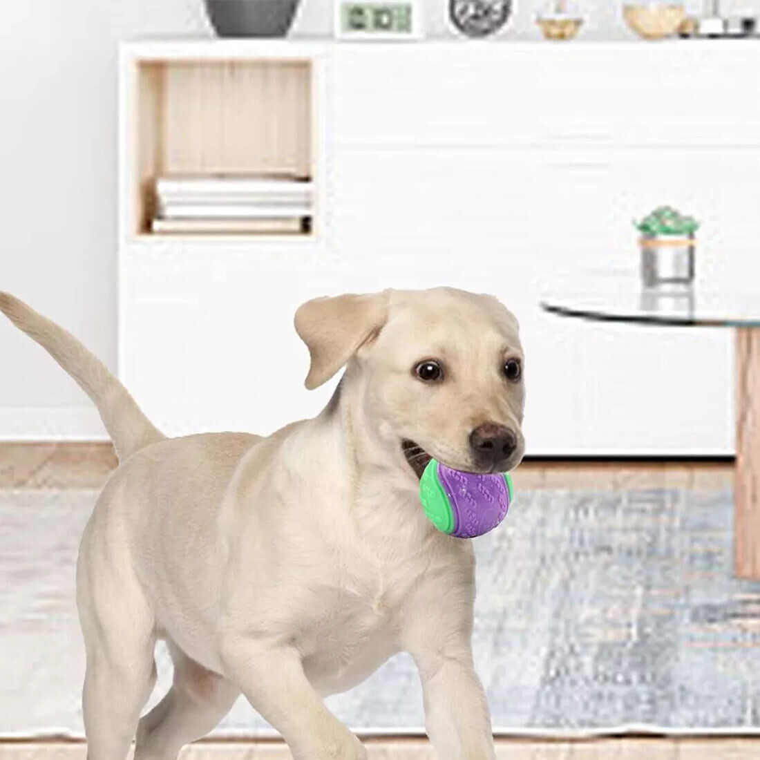 Scooby-Doo Durable Squeaky Dog Ball Set (8 Pack)